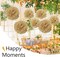 12 Pieces Tissue Paper Pompoms 10in and 12in Hanging Tissue Flowers Decorations Colour Paper Flower Ball Paper Flowers Pom Poms for Party Wedding Decoration (ZH/Khaki)